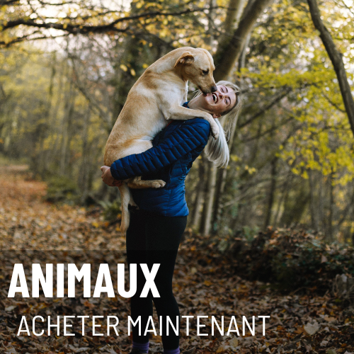 ANIMAUX