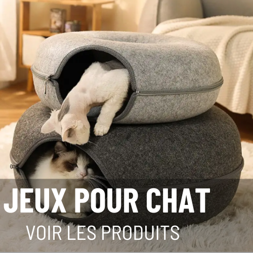 JEUX POUR CHAT