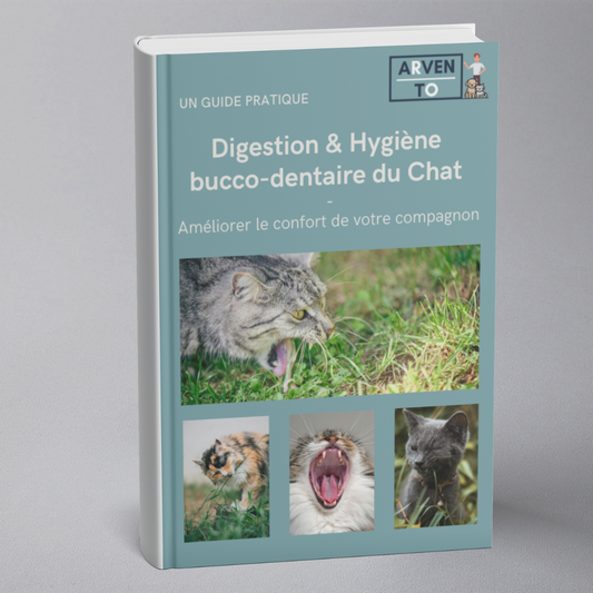 E-book - Digestión e higiene bucal para gatos