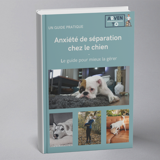 E-book - Ansiedad por separación en perros
