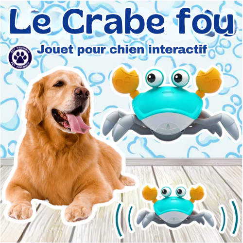 THE CRAZY CRAB™ – Juguete interactivo de cangrejo para perros y gatos