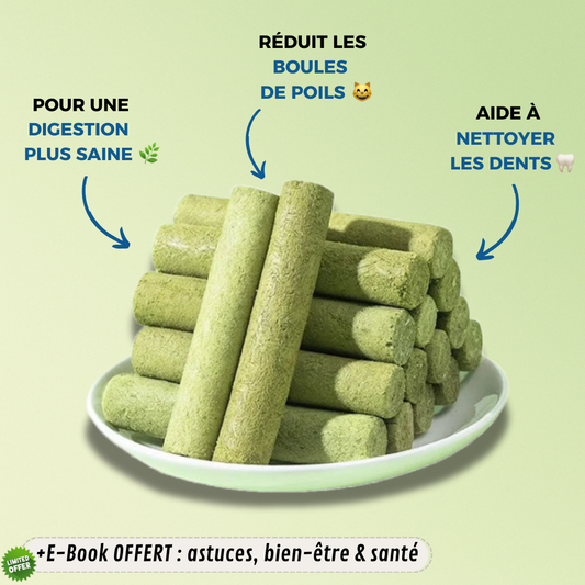 GREENBITE™ – Le snack bien-être pour un chat en pleine forme
