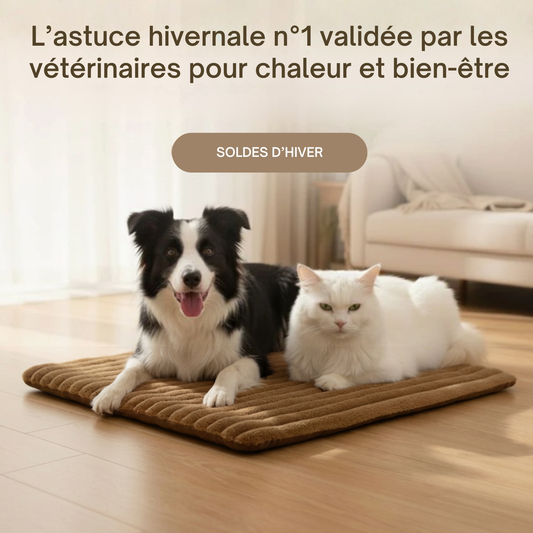 TAPIS AUTO-CHAUFFANT POUR CHIEN ET CHAT - Sans électricité, parfait pour l’hiver.