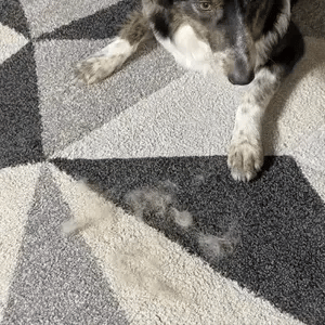 FURGLOVE™ – Guante de aseo para mascotas de doble cara.