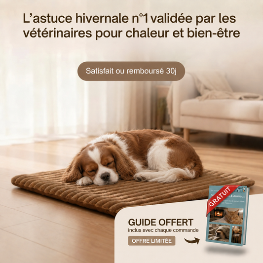 ALFOMBRA TÉRMICA AUTOENFRIABLE PARA PERROS Y GATOS - Alivia de forma natural las articulaciones de tu mascota.