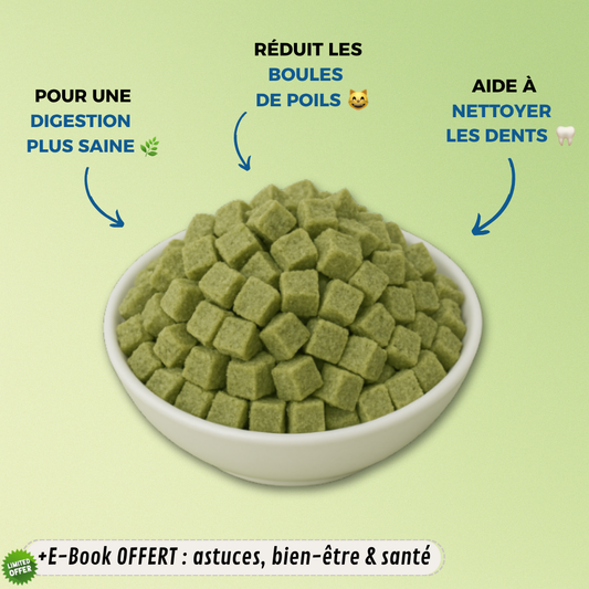 GREENBITE CUBES™ – Bocados de bienestar para un gato sano (60 g)