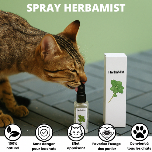 HERBAMIST™ — Spray apaisant aux herbes à chats