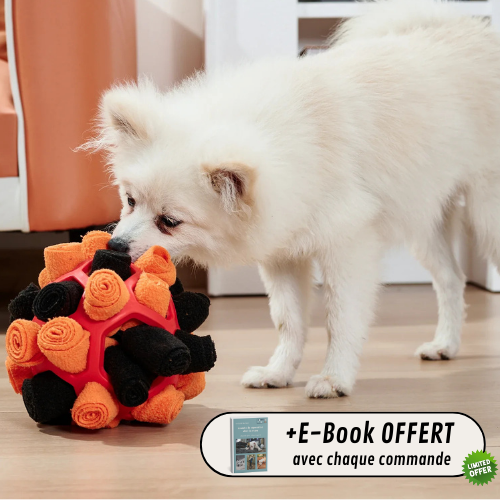 SNUFFLEBALL™ — Pelota olfateadora para perros exploradores