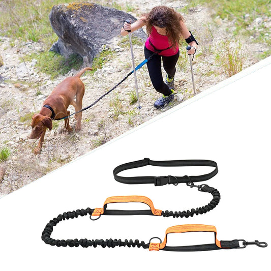 JOGBUDDY™ — Laisse de footing ajustable pour chiens