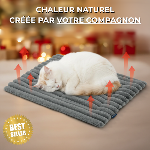 TAPIS AUTO-CHAUFFANT POUR CHIEN ET CHAT - Sans électricité, parfait pour l’hiver.