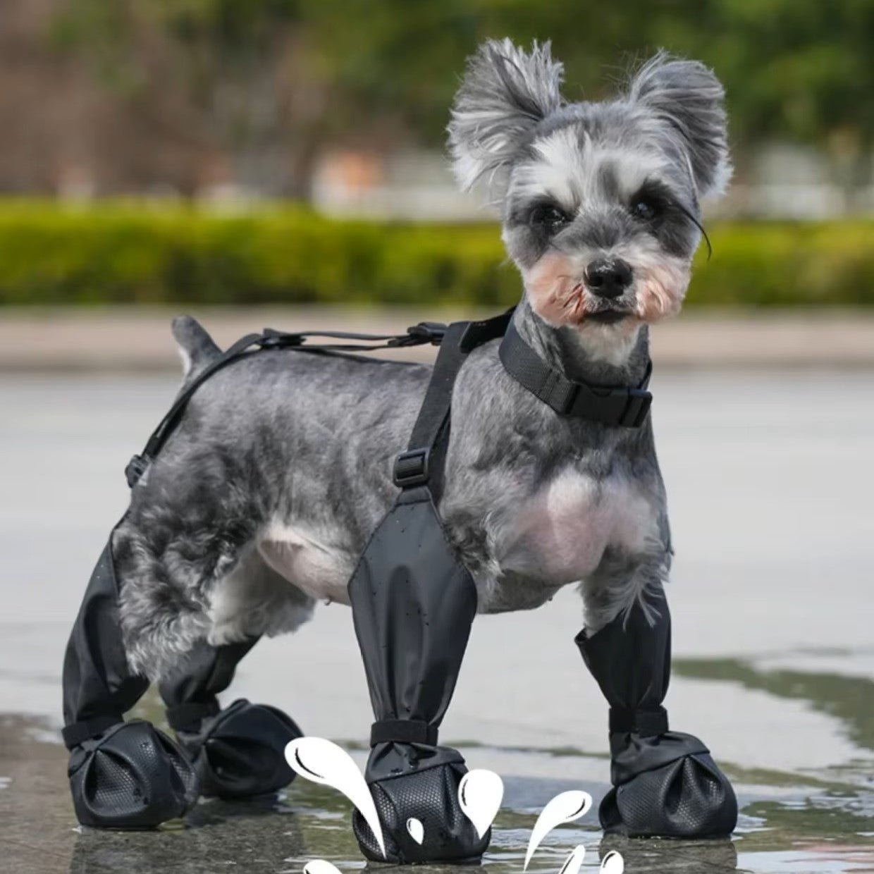 Bottes pour chien | DoggyBoots™ - PuppyDog Zone