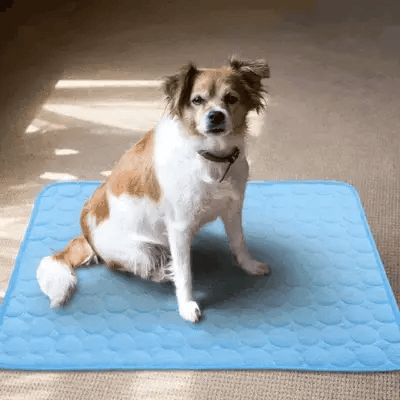 FRESHPAD™ - Esterilla refrescante para perros y gatos – Arvento