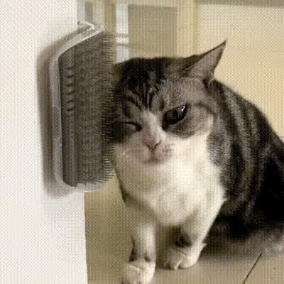 Rincón de masaje de pared para gatos