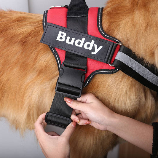 Arnés antitirones para perros con nombre personalizado